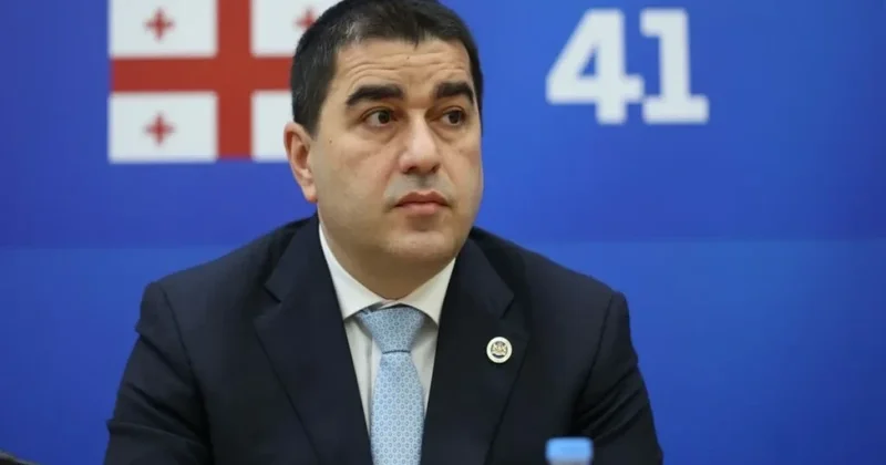 Gürcüstan parlamentinin spikeri: Qərb Ukrayna üzrə sülh sazişinə mane olur