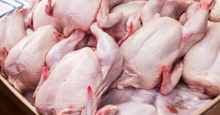 Toyuq əti alarkən bunlara DİQQƏT EDİN EKSPERT AÇIQLADI