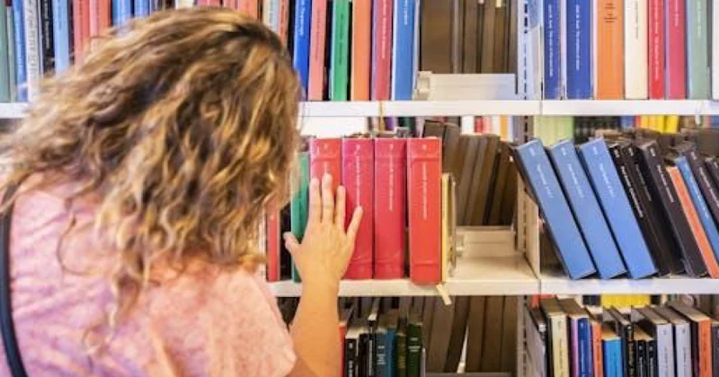 Rəqəmsal dövrə baxmayaraq, Danimarkada ənənəvi kitaba üstünlük verənlərin sayı artır