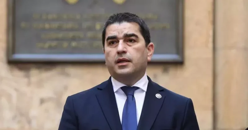 Грузинский спикер о докладе ЕК: лицемерие Брюсселя и двойные стандарты