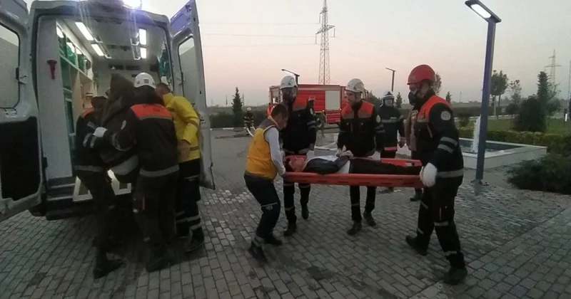 FHN in Cənub Regional Mərkəzi təlim keçirib VİDEO