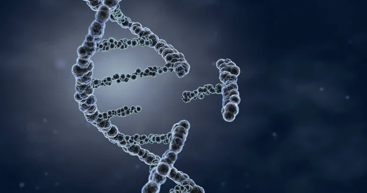 Новый закон Азербайджана против патентов на клонирование