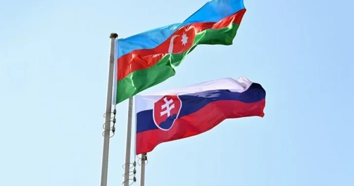 Азербайджан и Словакия намерены укреплять сотрудничество в ледовых видах спорта