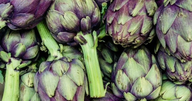 Кулинарное чудо, или Артишок как часть армянской кухни