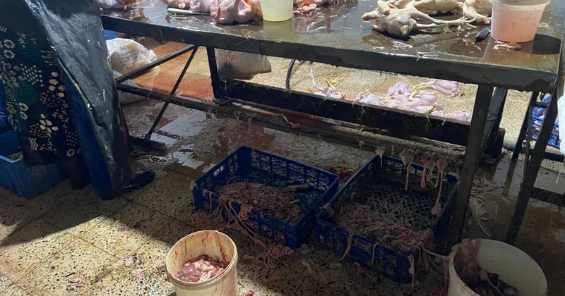 Xırdalanda qanunsuz və antisanitar şəraitdə fəaliyyət göstərən quş kəsimi sexinin fəaliyyəti məhdudlaşdırılıb