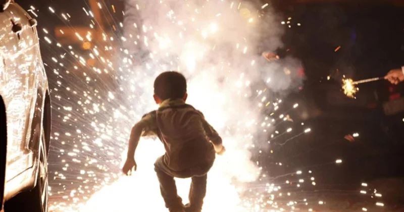 Полиция обратилась к гражданам в связи с петардами