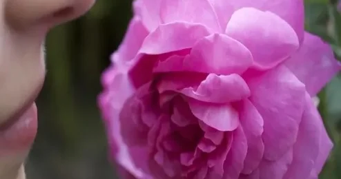 Ətirlərin insanlara təsiri qoxular nəyə qadirdir?