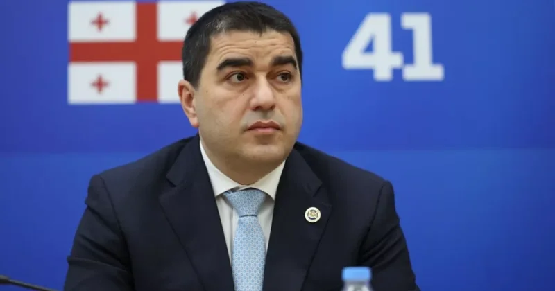 Папуашвили: Брюссель представляет визу как проклятие