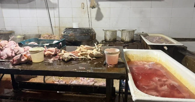 В Хырдалане разоблачена подпольная птицебойня с фальшивыми деревенскими курами