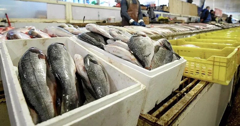 Balıq vergidən azad edilir, kürü yox Deputat səbəbləri açıqladı