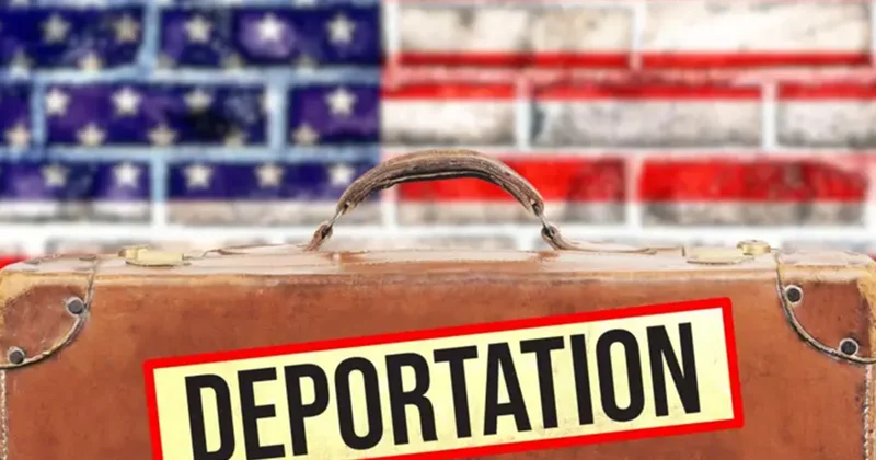 Miqrantlar üçün “hədiyyə” 3000 dollar, pulsuz təyyarə bileti...