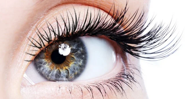 Daha çox rəngi görə bilən insanlar fenomeni kəşf edilib