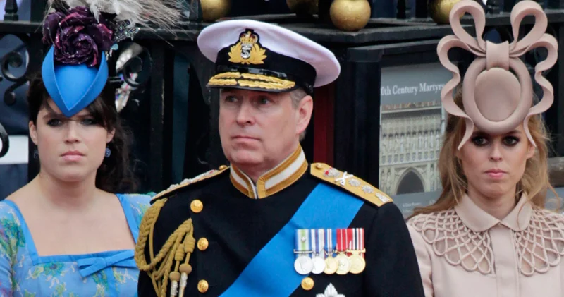 Şahzadə Endryunun silah lisenziyası ləğv edildi