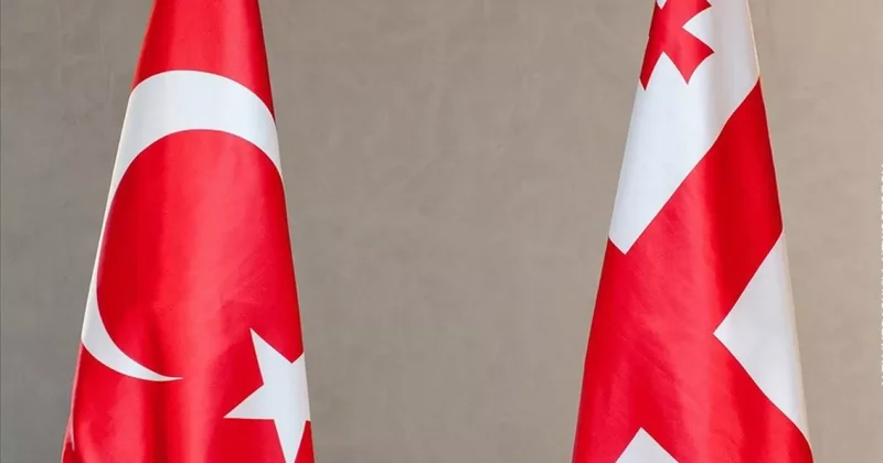 Главы МВД Турции и Грузии обсудили существующее партнерство