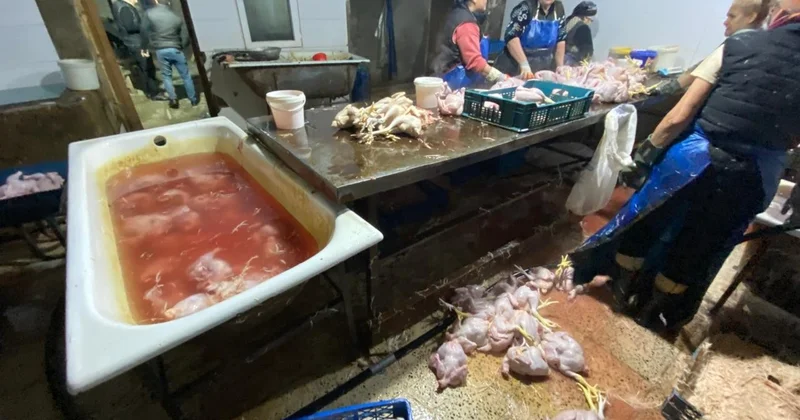 Xırdalanda quş kəsimi sexinin fəaliyyəti məhdudlaşdırıldı FOTO/VİDEO