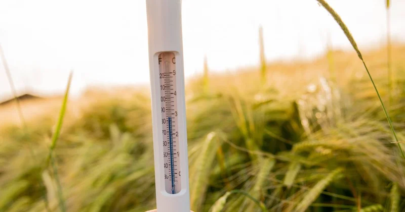 Qlobal temperatur ən yüksək səviyyələrə çatıb