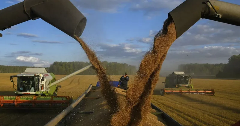 Молдова снимет ограничение на импорт зерна с Украины