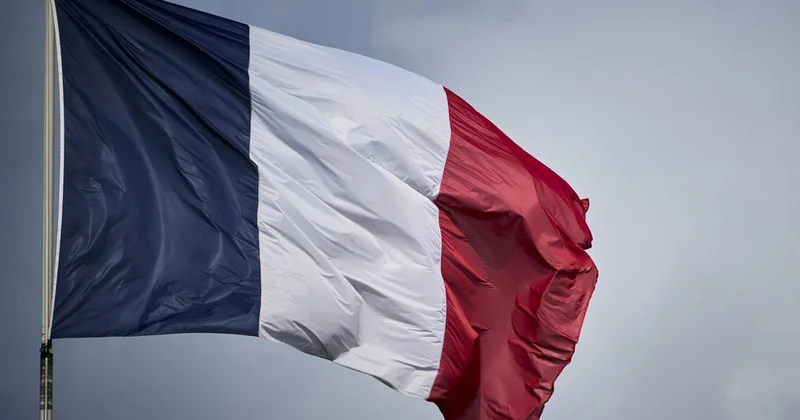 Aİ ölkələri Fransanın Avropada siyasi və hərbi liderliyini istəyir