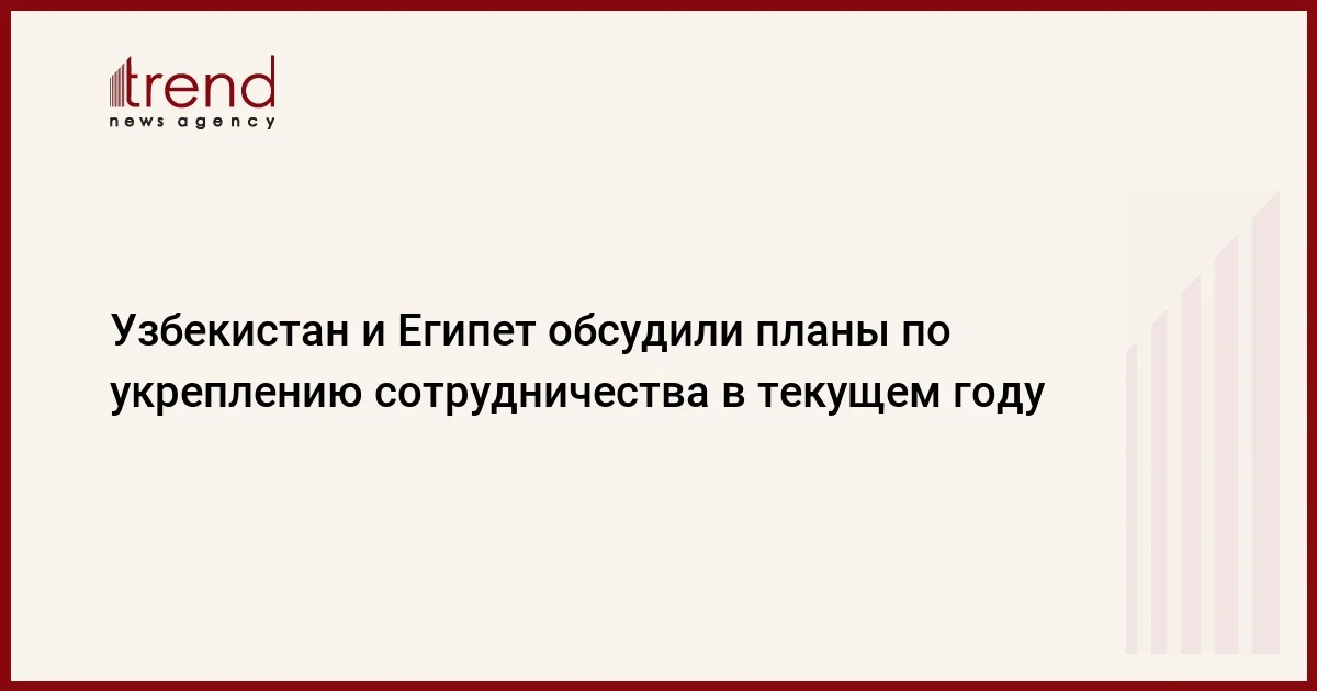 Узбекистан и Египет обсудили планы по укреплению сотрудничества в текущем году