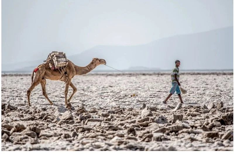 Şərqi Afrika yeni qitəyə çevriləcək Alimlərdən XƏBƏRDARLIQ