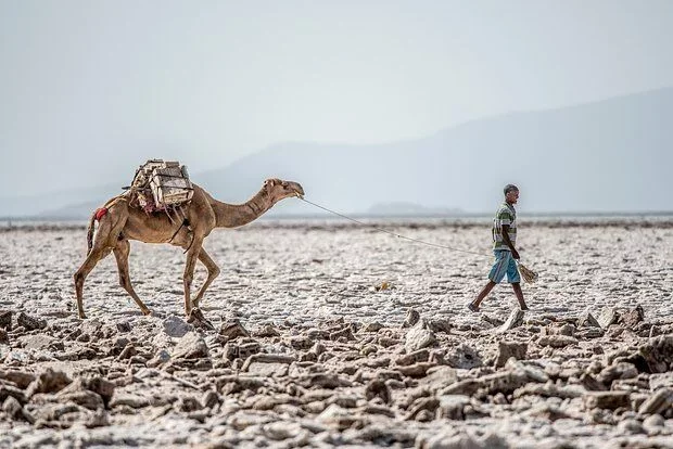 Alimləri şoka salan fəlakətin