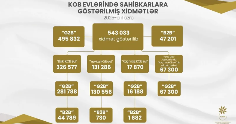 Ötən il KOB evlərində sahibkarlara 543 mindən çox xidmət göstərilib