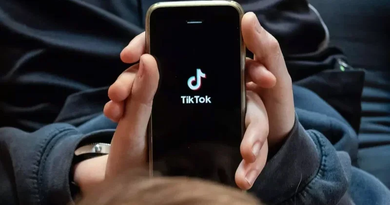 TikTok da deputatları və icra başçılarını söyən şəxs həbs olundu
