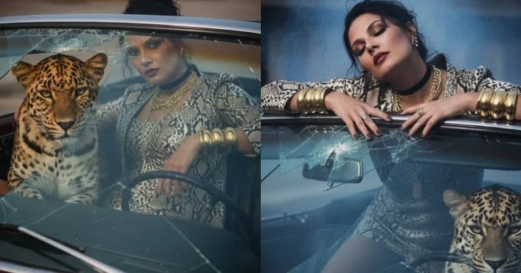 Pisləri sevin... Fotolar