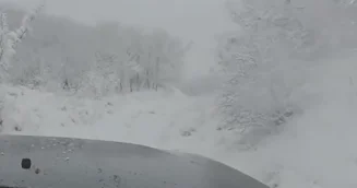 Автоблогер Фахри Асадов устроил снежный заезд в лесу ВИДЕО