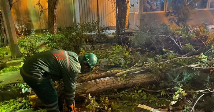 Yerinə daş döşəndi Sakin ŞİKAYƏTİ KONKRET