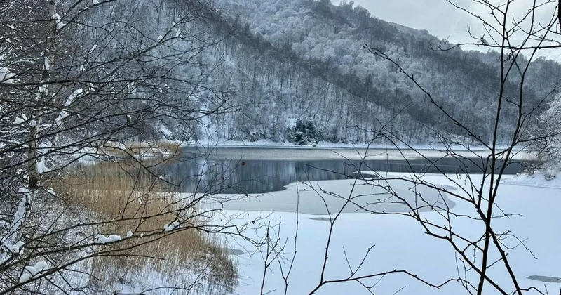 Гёйгёльcкий нацпарк окутал снег ФОТО