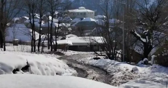 Gənclər Lənkəranın dağ kəndlərini niyə tərk edir? VİDEO