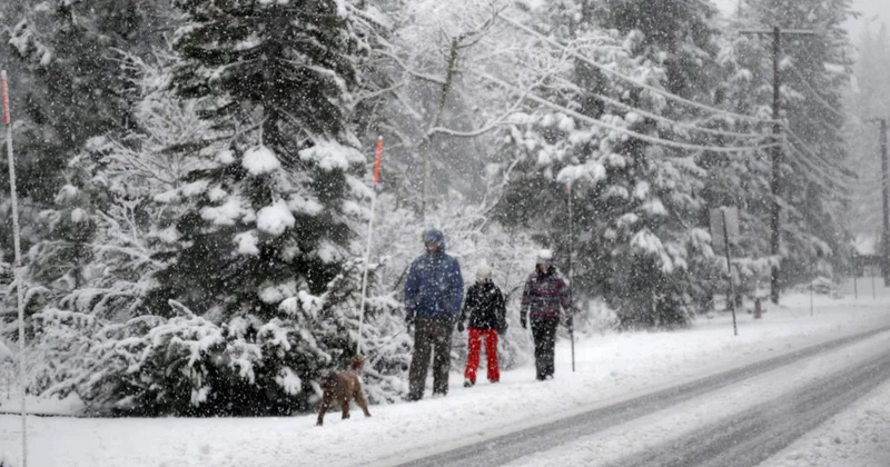 Bu ölkədə 45 dərəcə şaxta olacaq Xəbərdarlıq edildi