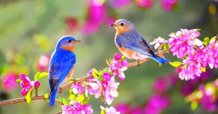 Bu il yaz daha tez gələcək? KONKRET