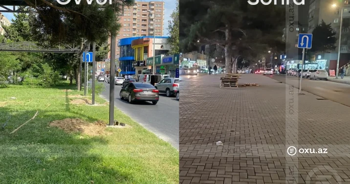 XƏTAİDƏ NÖVBƏTİ YAŞILLIQ ƏRAZİ YOX EDİLİB: üç il əvvəl tikintiyə icazə verilməyən ərazi kimlərə satılacaq? FOTOLAR