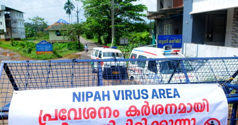 Hindistanda ölümcül Nipah virusu ilə bağlı təcili tədbirlər görülür