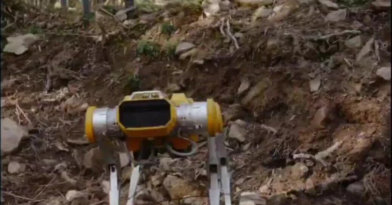 Презентовано новое поколение робособак ВИДЕО