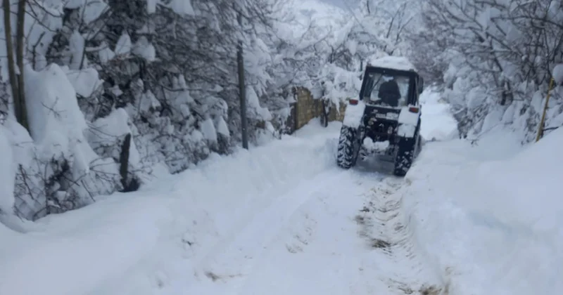 Hamı qarı unutdu, amma Lerikdə vəziyyət hələ də acınacaqlıdır Video
