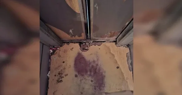 Дыры в полу и частые поломки: жильцы дома в Баку жалуются на аварийное состояние лифта