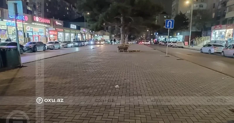 В Ахмедлы уничтожены деревья Всё ради очередного ресторана? / ФОТО