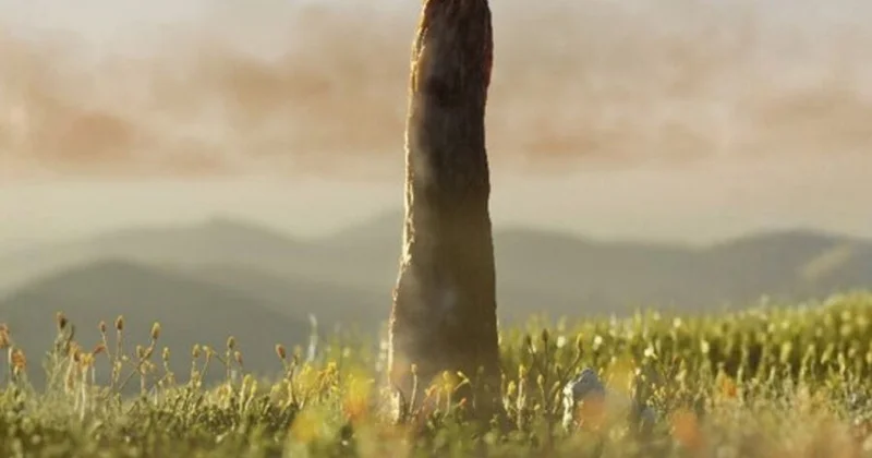 Naməlum təbiətli nəhəng orqanizm alimləri çaş baş salıb