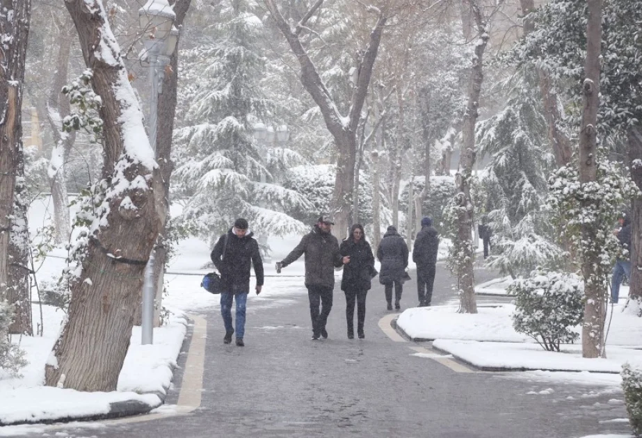 Bakıda və Abşeron yarımadasında gecə 5 8° şaxta olacaq