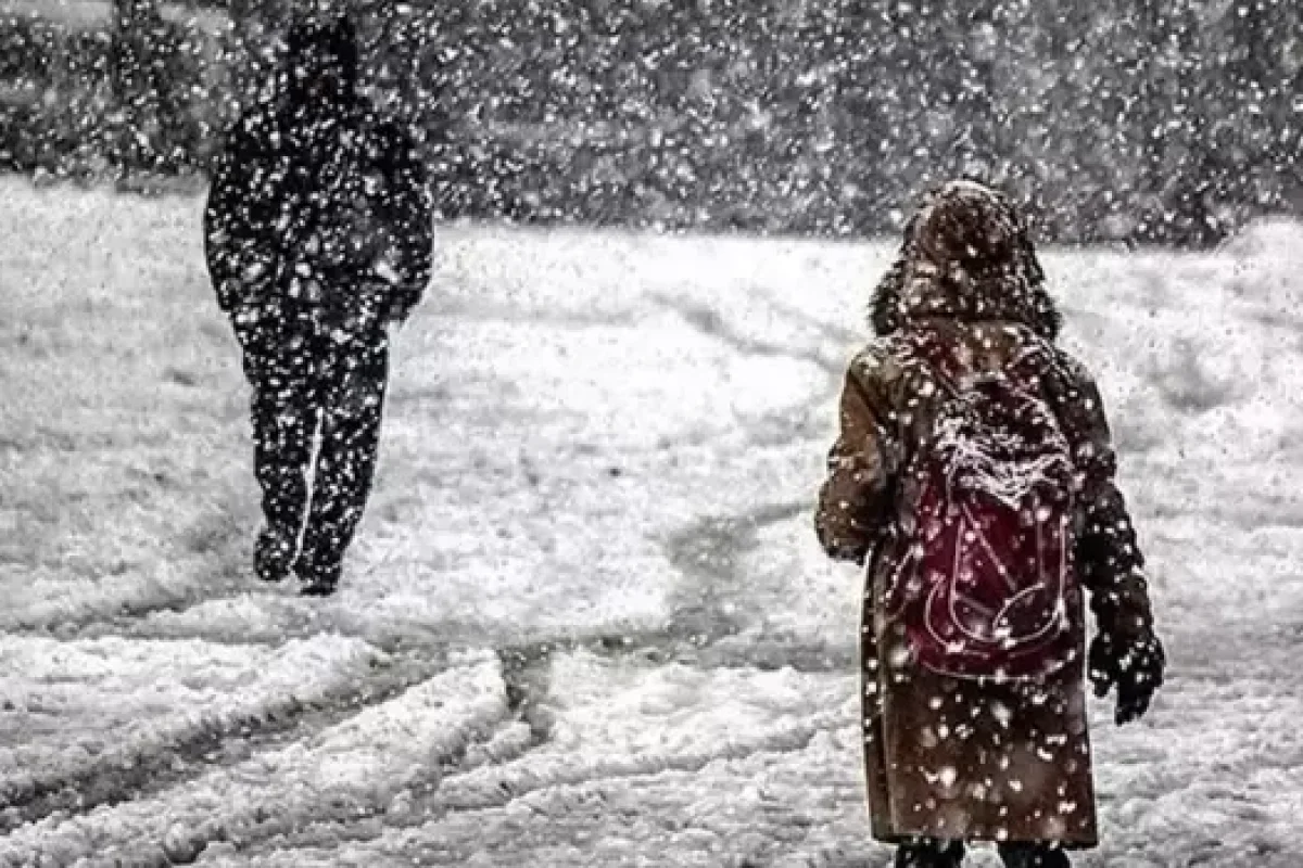 Şagirdlərin davamiyyət göstəricisi aşağı düşüb RƏSMİ