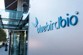 Biotexnoloji Bluebird bio özəl investisiya fondlarına 30 milyon dollara satılacaq