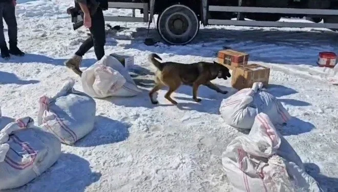 Türkiyədə poçta təhvil verilən torbalardan külli miqdarda narkotik maddə ələ keçirilib