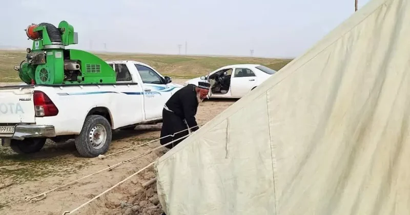 В Таджикистане борются с саранчой