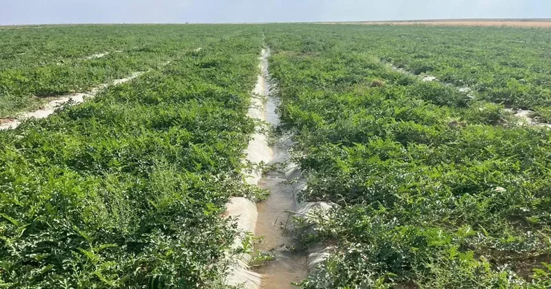 В Казахстане прогнозируют дефицит воды