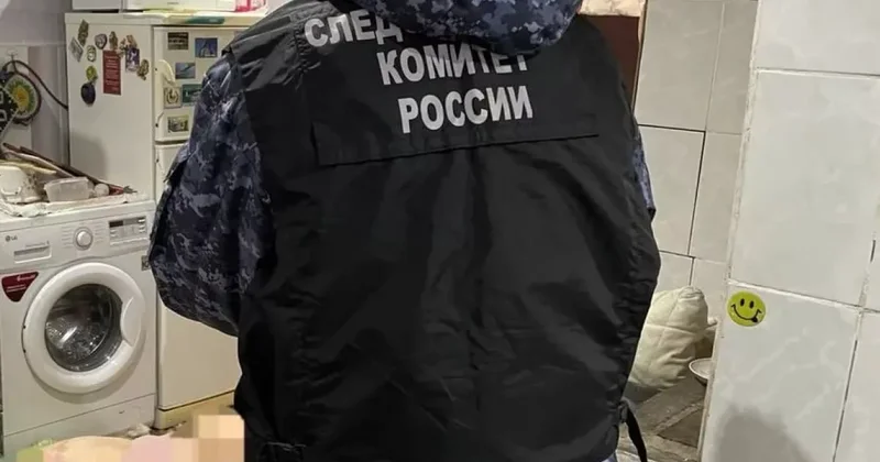 В российской области подросток убил мать