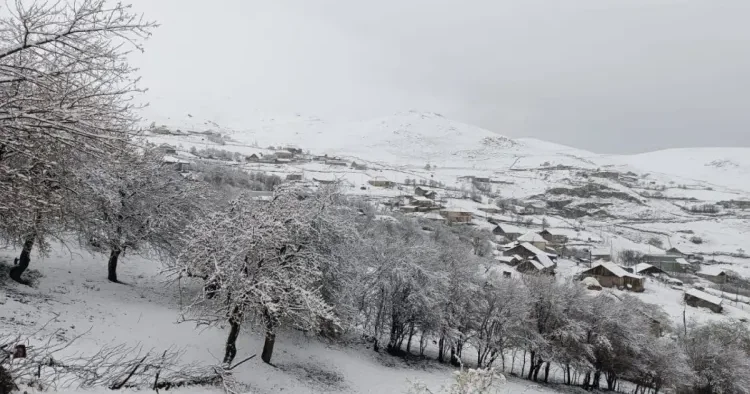 Bu rayonlara qar yağır Faktiki HAVA