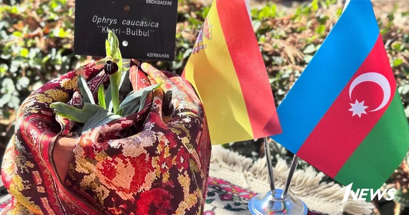 Хары бюльбюль вновь расцвёл в Мадриде накануне 34 й годовщины Ходжалинского геноцида ФОТО